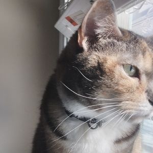 Meet your Posher, Kaitlyn